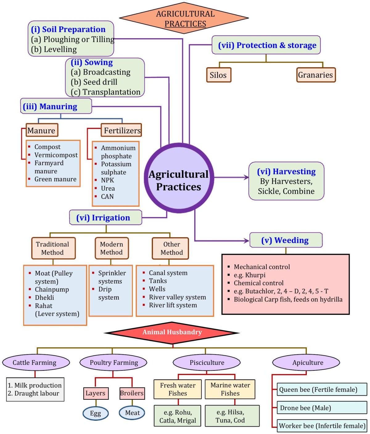 Understanding Crop Production and Management in Agriculture
