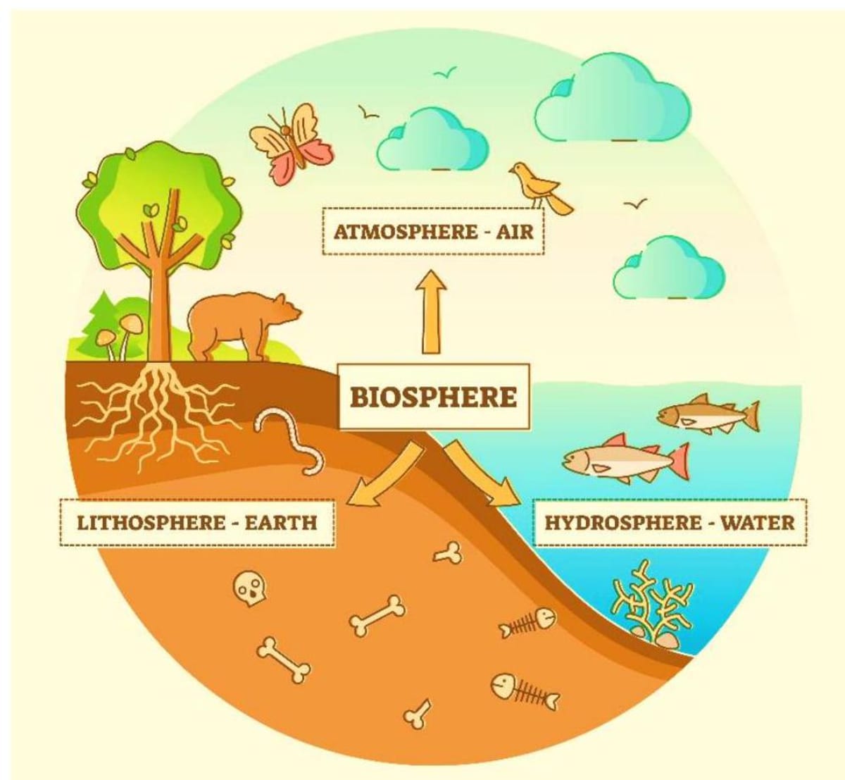 Major Domains of the Earth