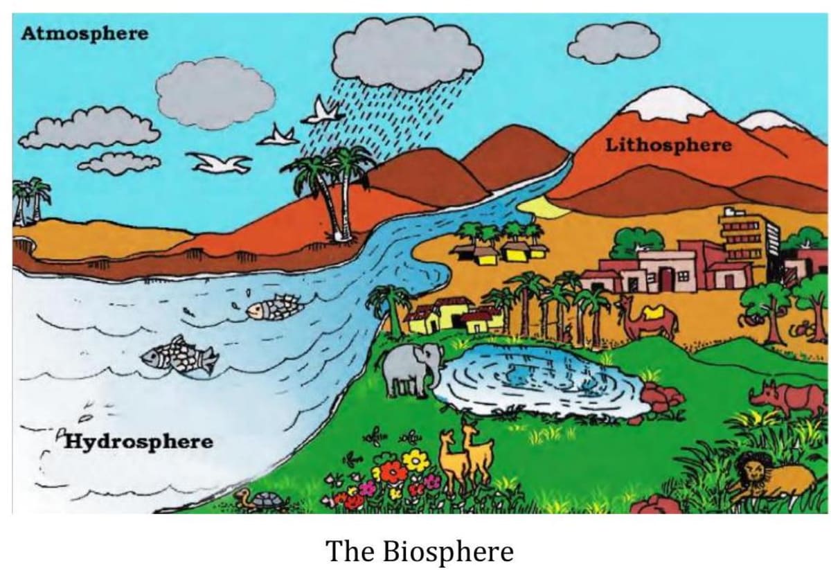 Biosphere - The Domain of Life