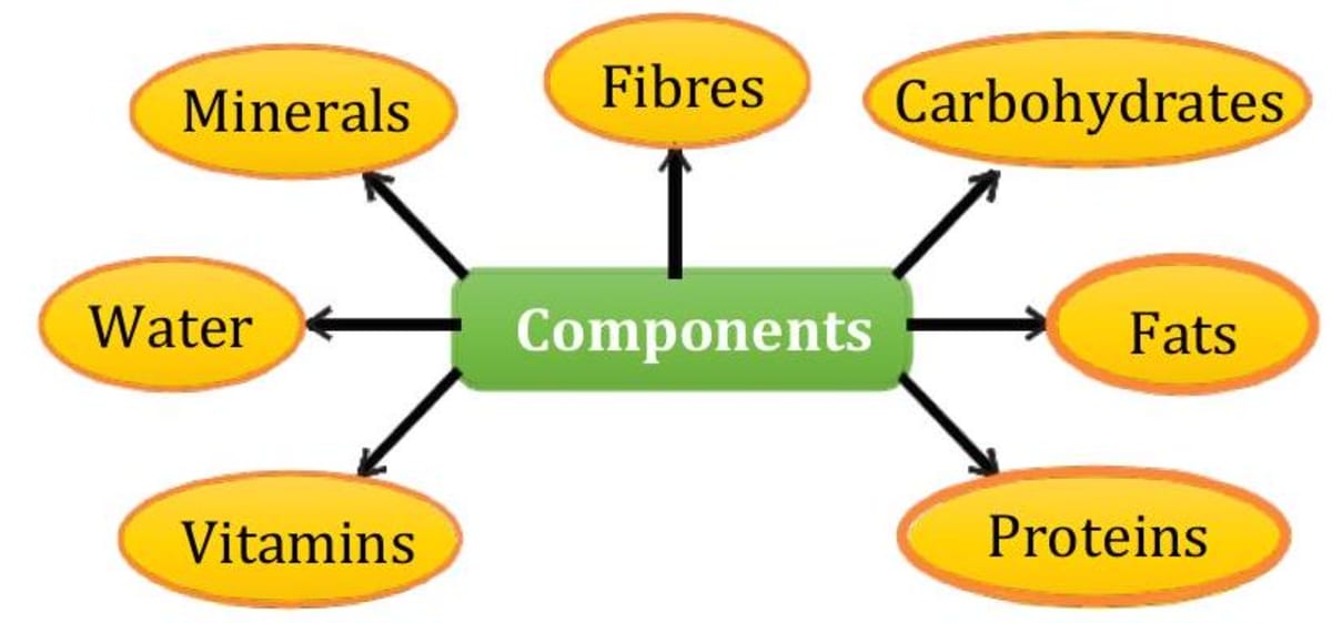 Food Computer Components Components of Food: Essential Nutrients for Growth and Health
