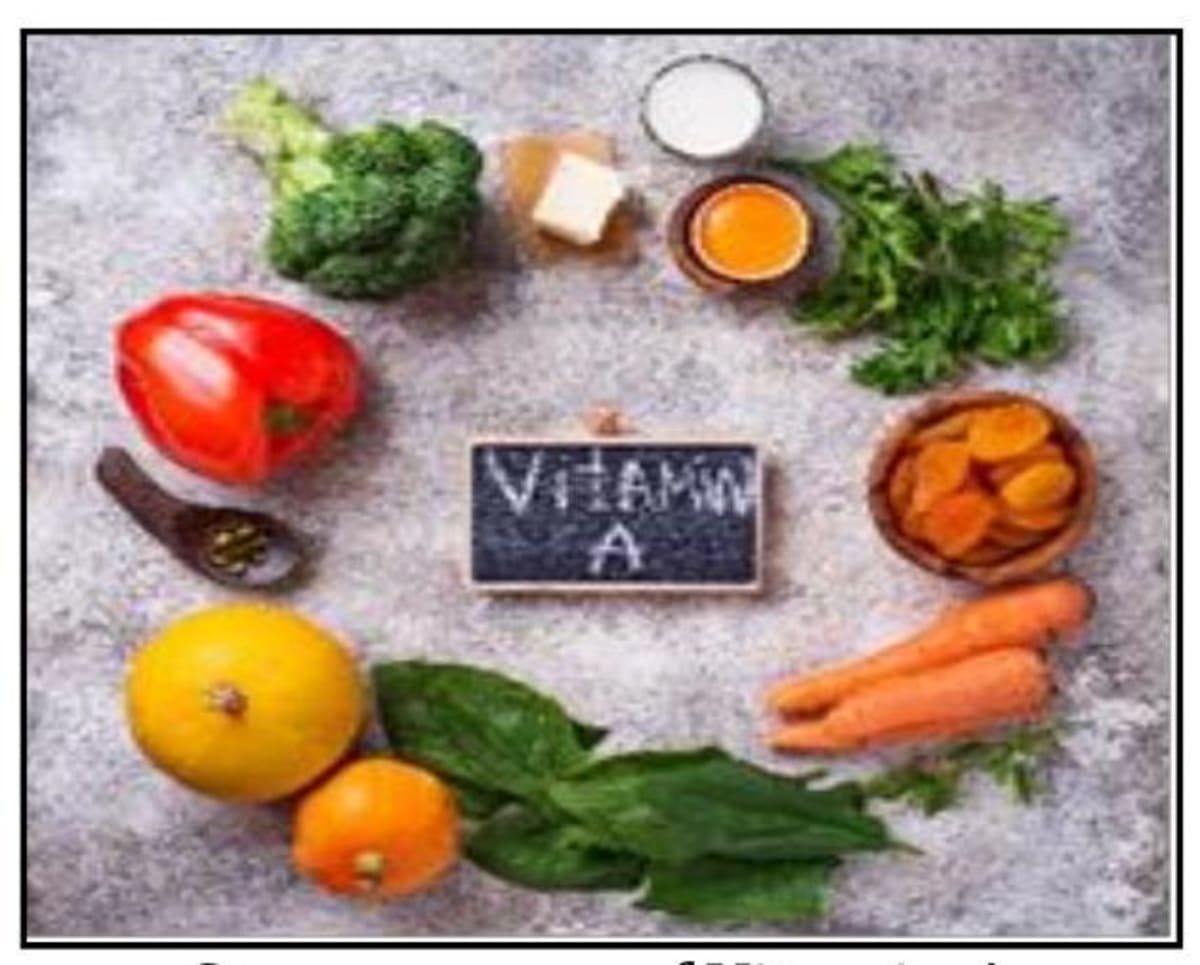 Components of Food: Essential Nutrients for Growth and Health
