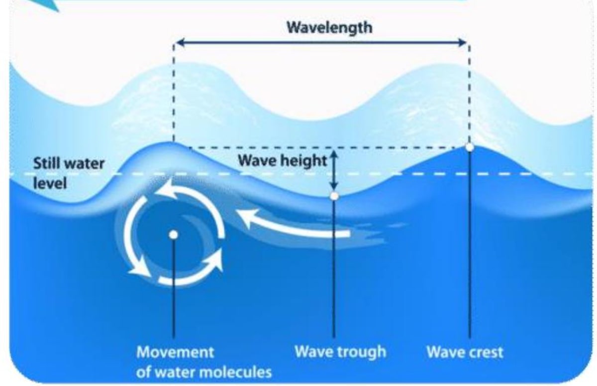 Water Wavereference Water: Essential Resource for Life, Health and Sustainability