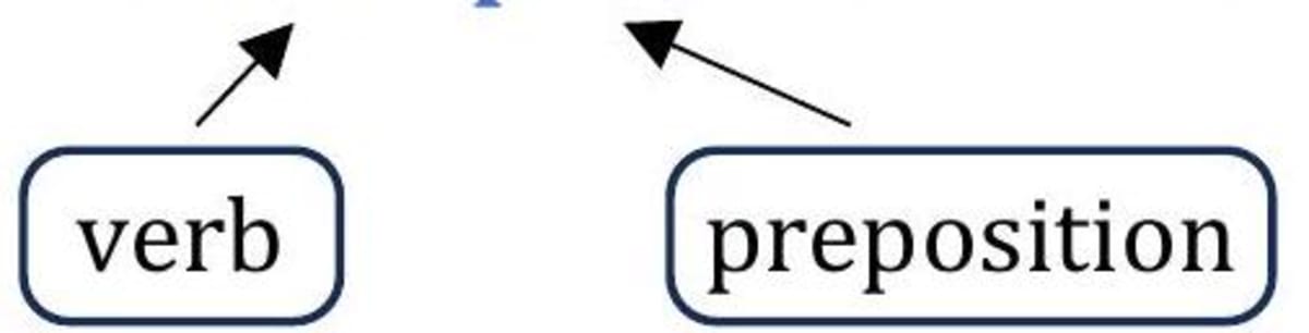 Prepositions: Types, Examples, and Usage