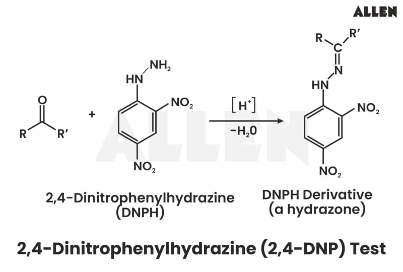 2,4-Dinitrophenylhydrazine- Definition and Synthesis, Procedure of test ...