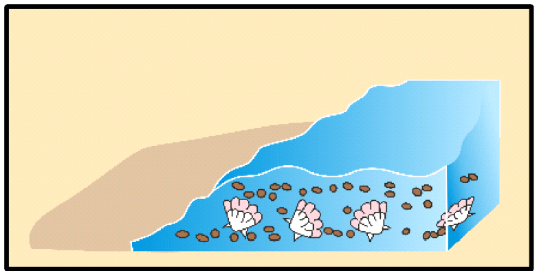 More sand accumulated and sandstone formed under pressure.