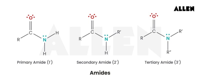 Amide Geometry Amides Structure