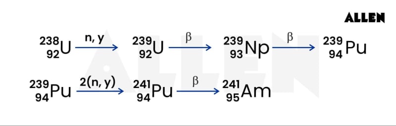 Plutonium Decay Graph Americium: Properties, Production and FAQs