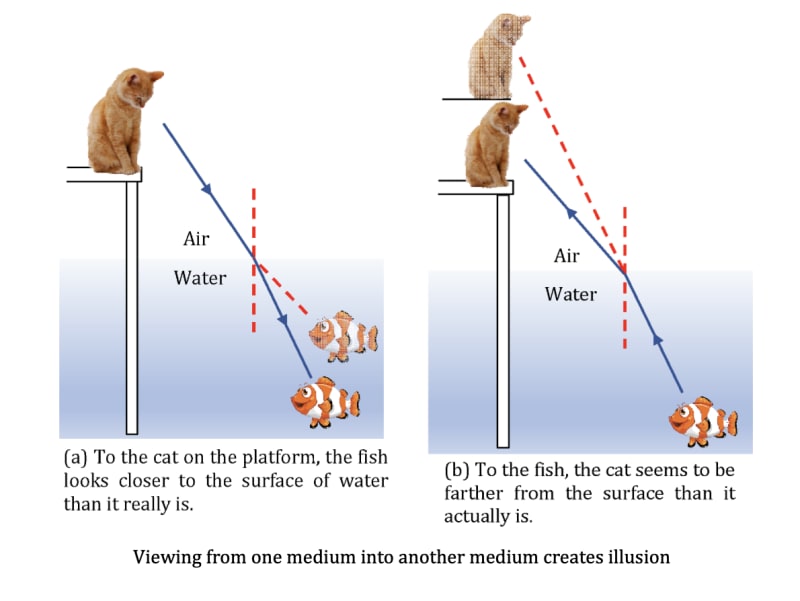 Understand Optic Refraction of Light| Principles, Laws, and Applications