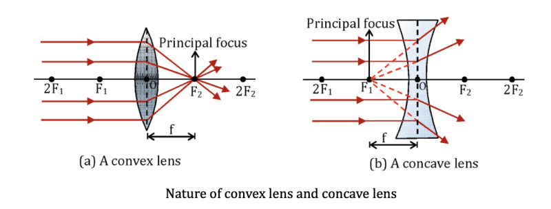 Lens Science Module Lenses | Types, Rules and Applications Explained