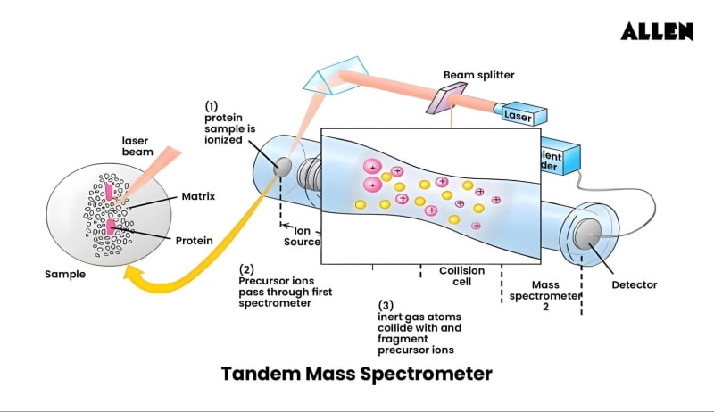 Mass Spectrometry | Chemistry Analysis | Powerful Technique
