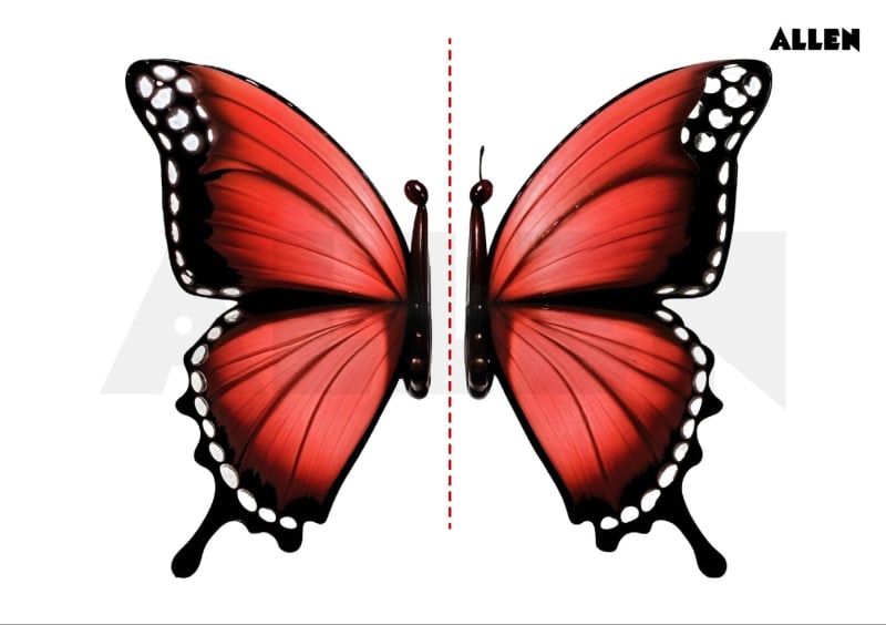 CBSE Notes for Class 6 Maths Chapter 9 – Symmetry