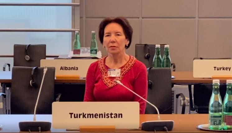 ÝHHG / DGAHB ýygnagy. Türkmen rejimi, ÝHHG sebitinde awtokratiýanyň mysaly. Wena. 16/16/2022.