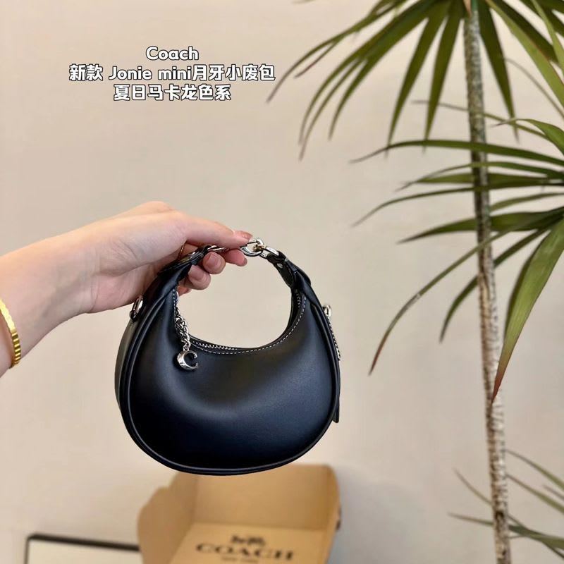Luna Charm Mini Bag ✨
