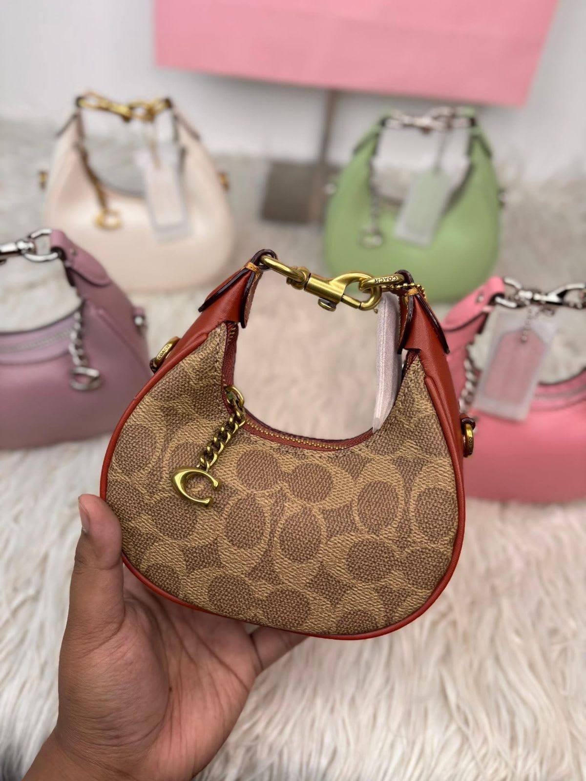 Luna Charm Mini Bag ✨ 5