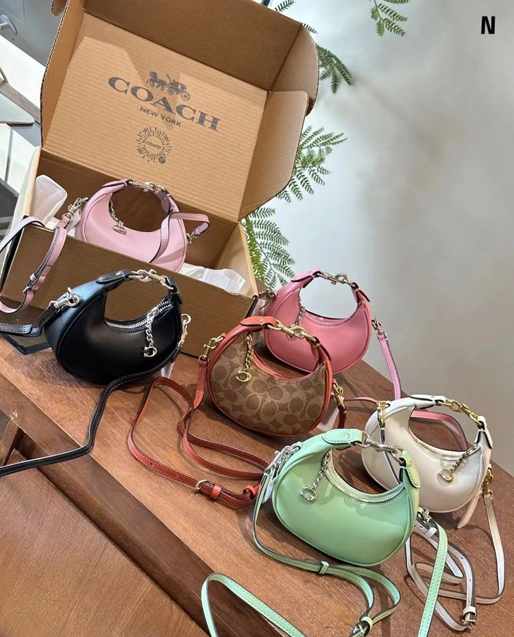 Luna Charm Mini Bag ✨ 11