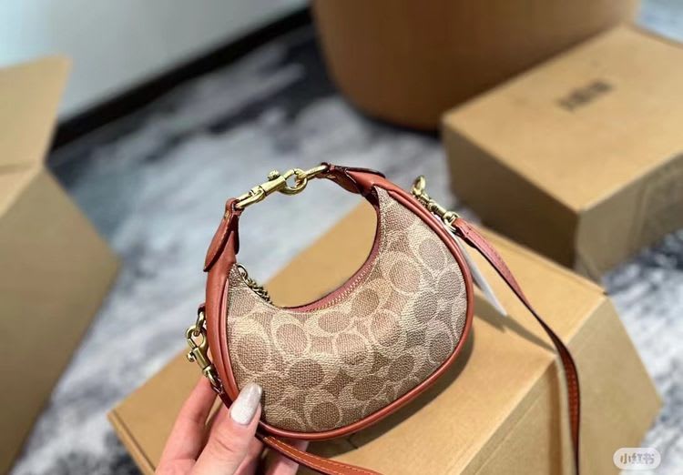 Luna Charm Mini Bag ✨ 12