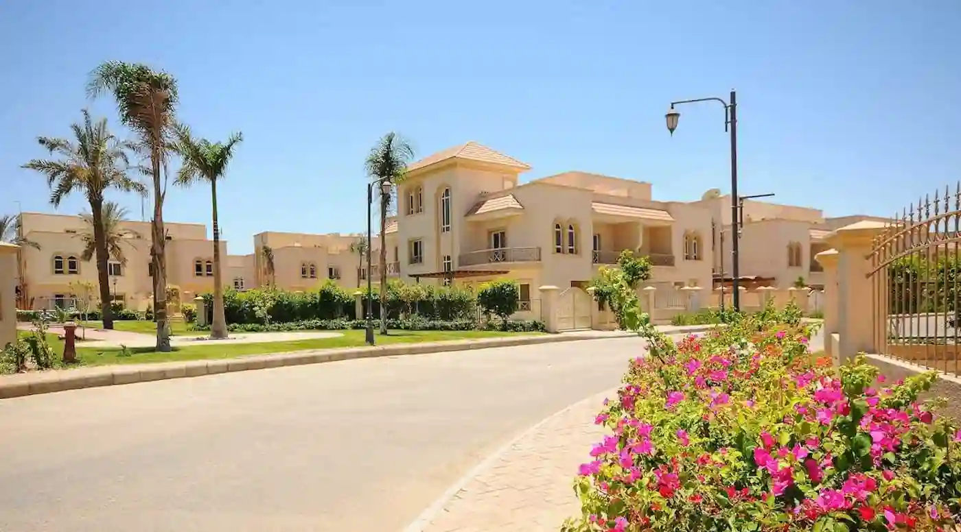 جرينز الشيخ زايد