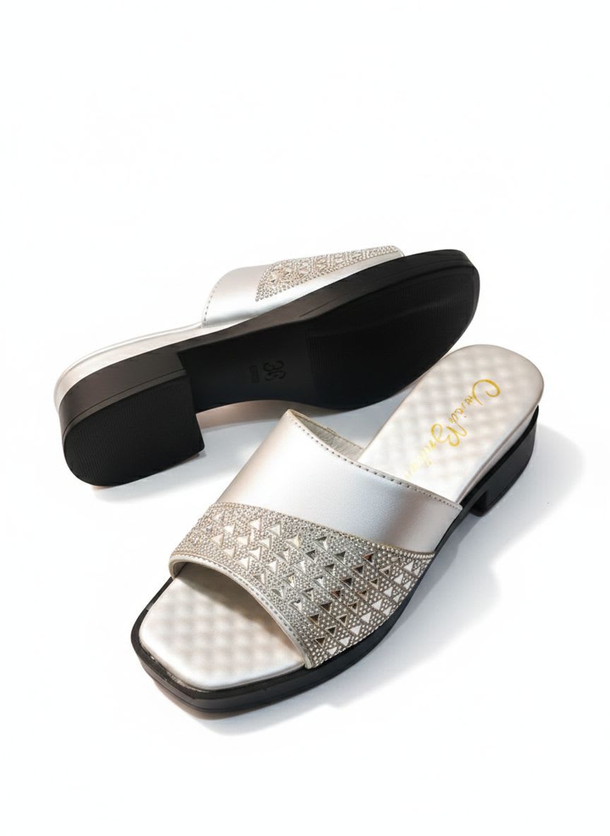Designer Ladies Shoe