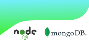 MongoDB connection , with node.js