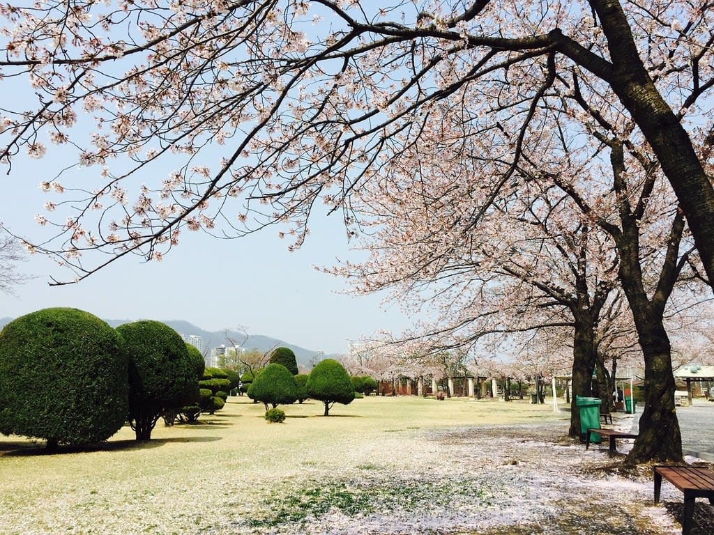 Korea Poker Cup Front and Center this April, Seven Figure Pool on the Horizon