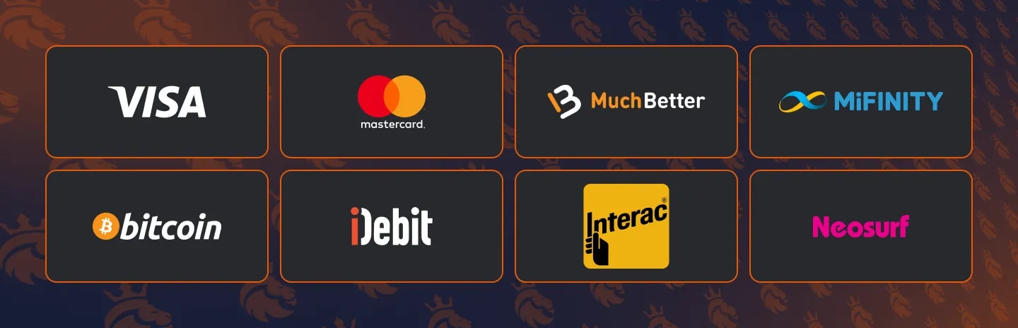 NINE Casino Payment Methods