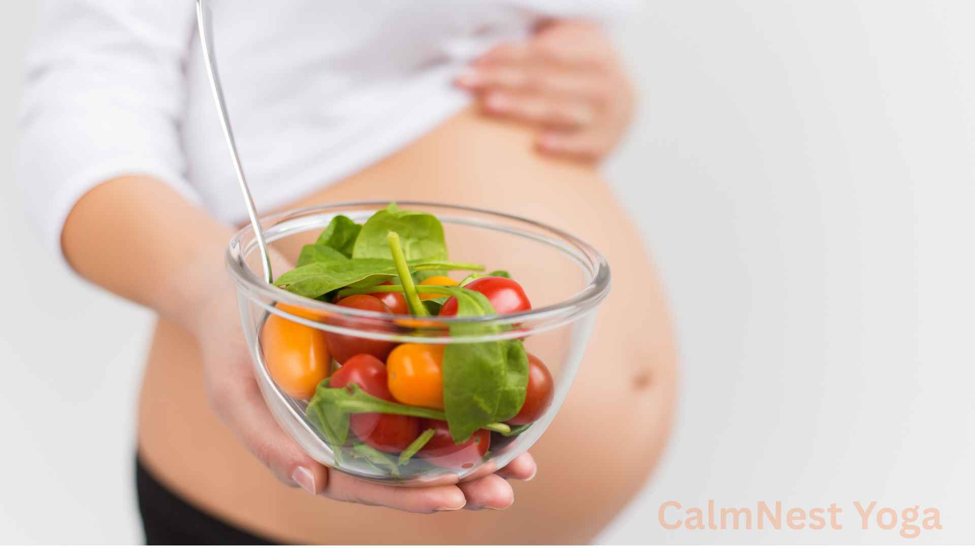 healthy pregnancy diet healthy pregnancy diet