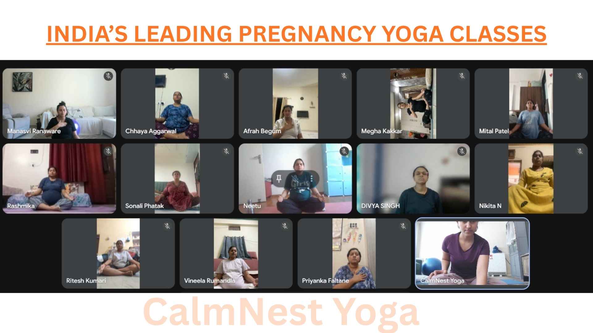 best online pregnancy classes