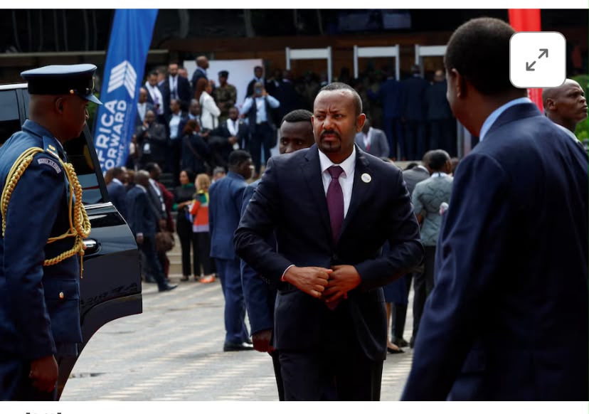 Seven Ethiopian Armed Groups Form Alliance Against Government