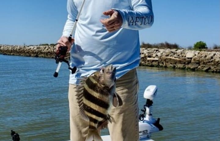 A fisherman with a Sheepshead