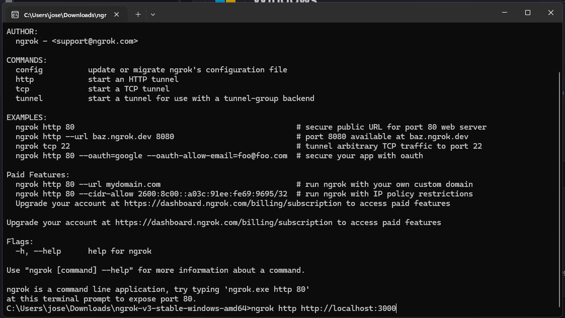 ngrok terminal