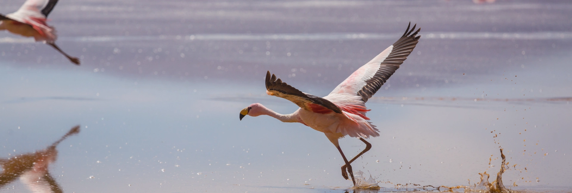Lake Natron