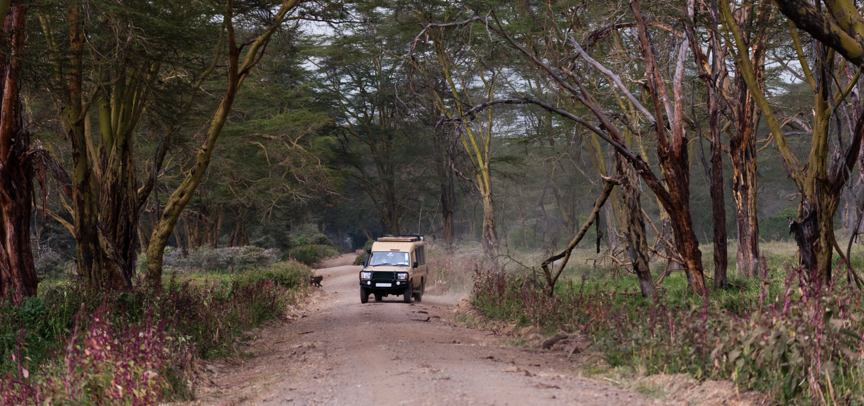 Access To Nyerere National Park