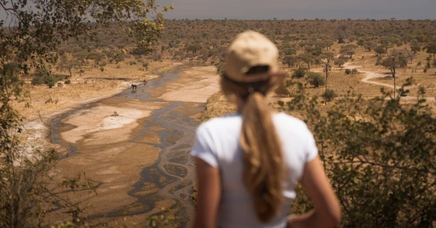 Follow the Tarangire River