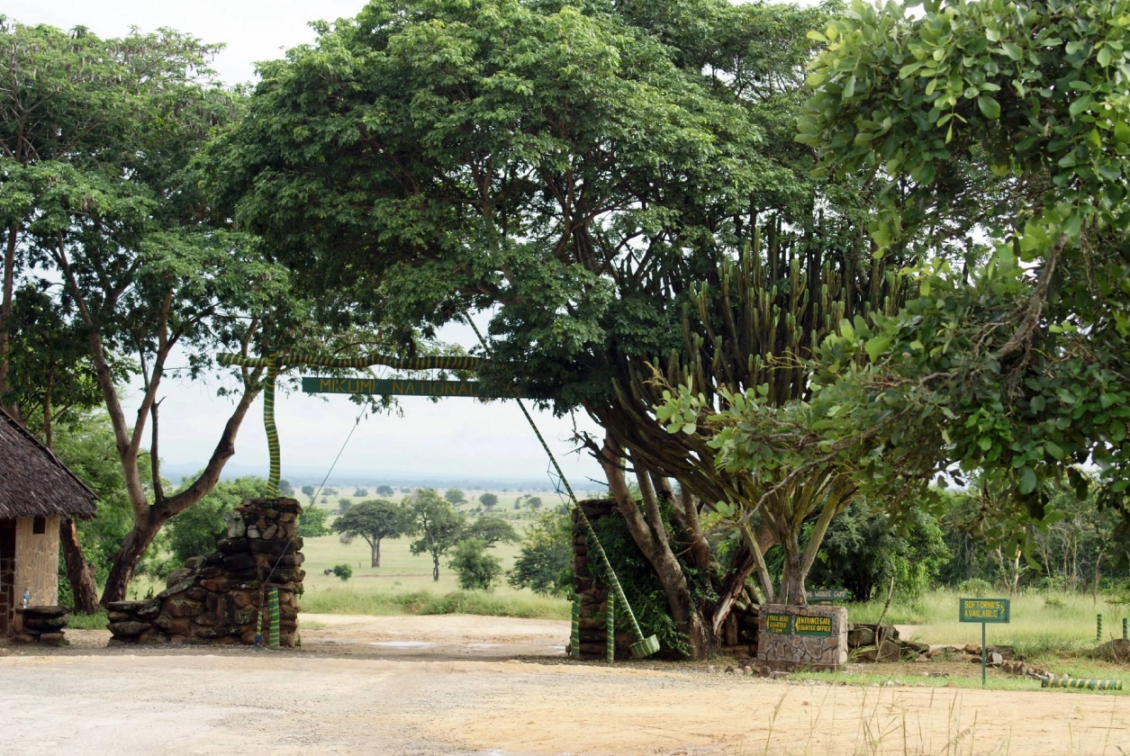 Southern Circuit Gateway