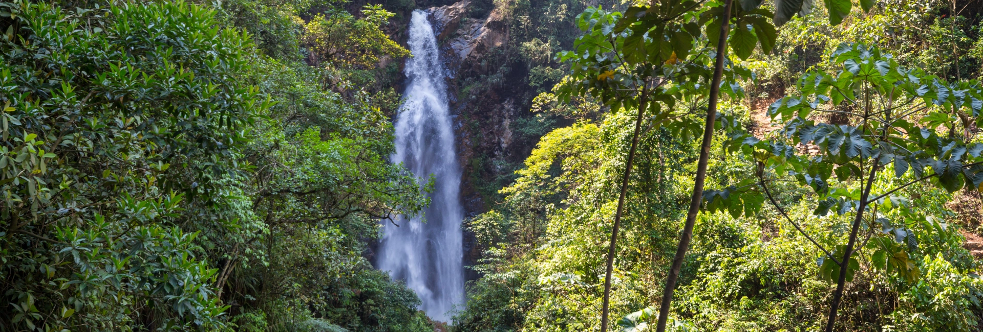 UDZUNGWA MOUNTAINS NATIONAL PARK