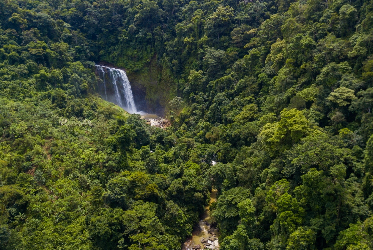 Waterfalls And Forests