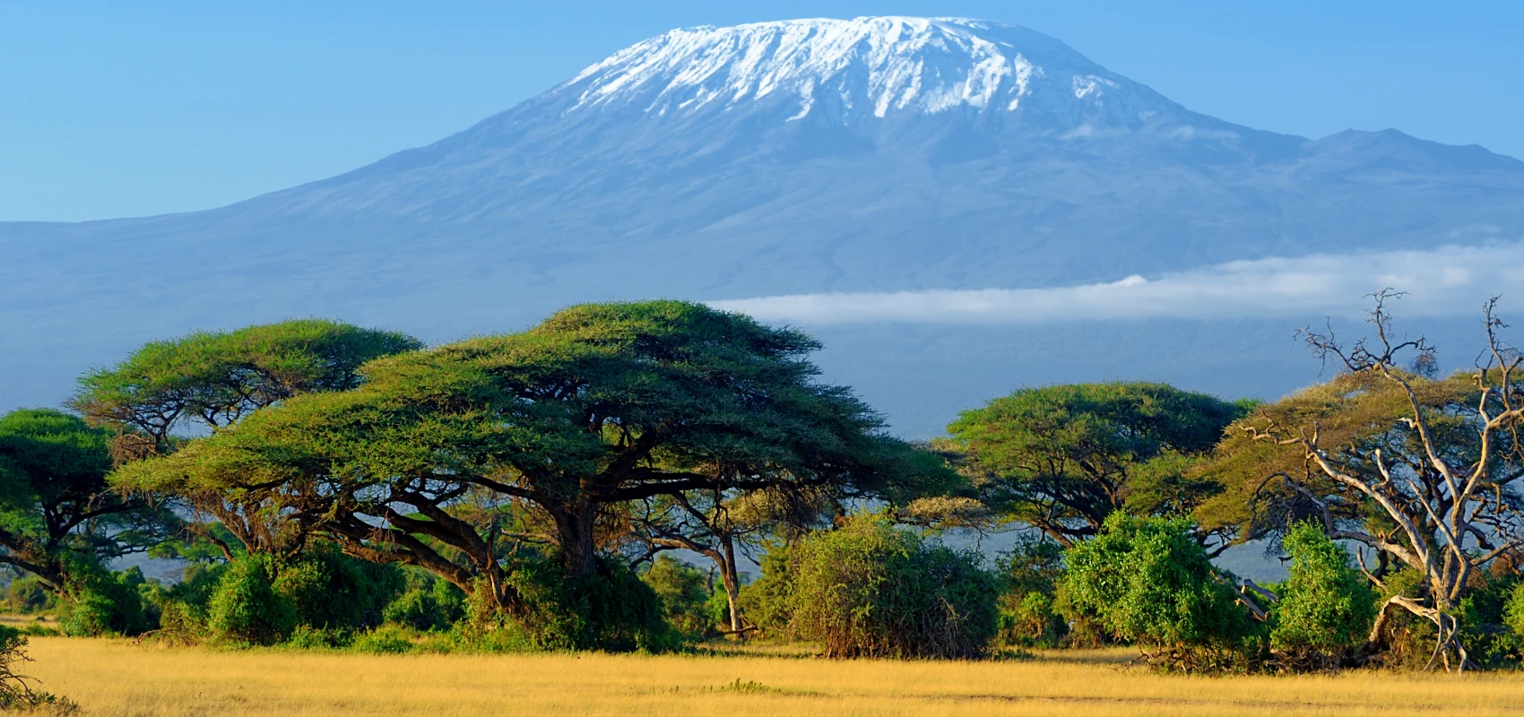 Ecological & Climate Zones