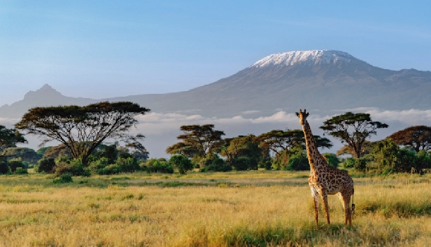 KILIMANJARO NATIONAL PARK