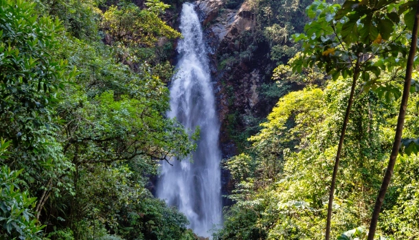UDZUNGWA MOUNTAINS NATIONAL PARK