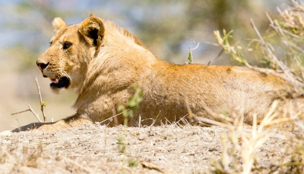 Serengeti National Park