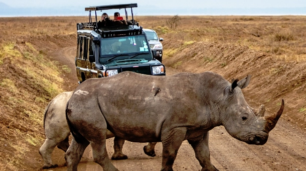 7 Days Wildlife Budget Cultural Fly in Safari