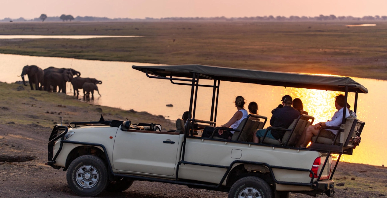 Full Day Chobe Game Drive