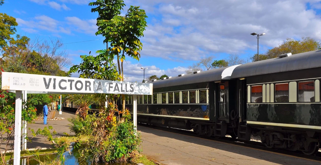 Steam Train Dinner Safari