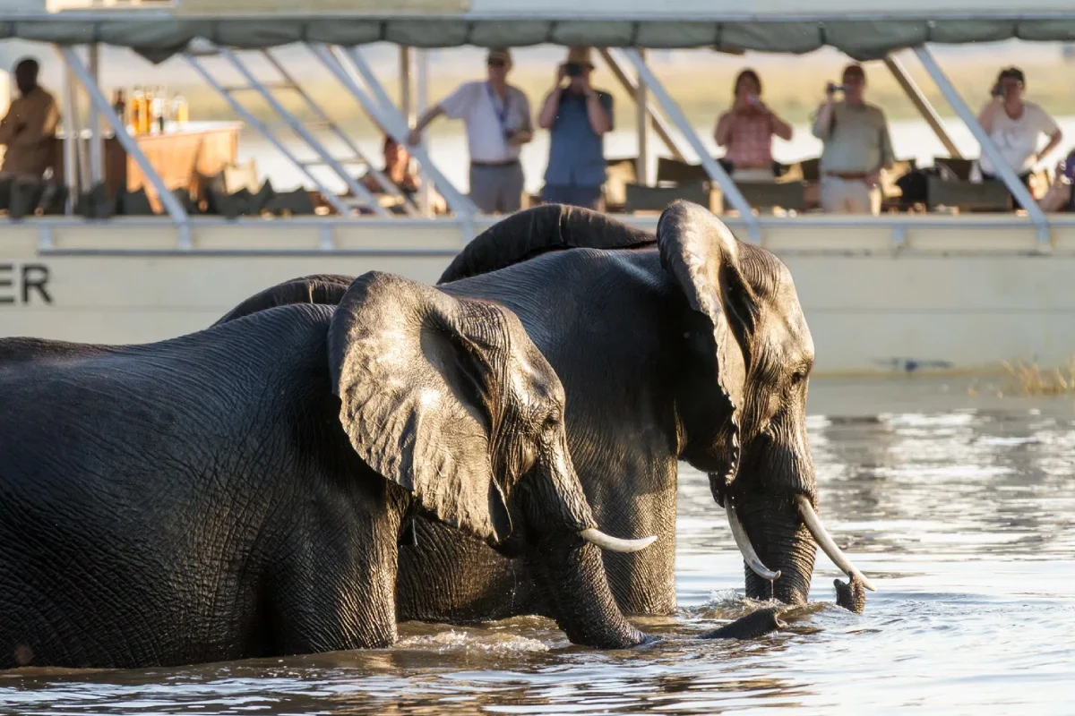 BOTSWANA PACKAGE