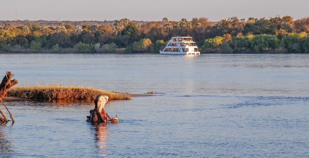 Zambezi Sunset Cruise