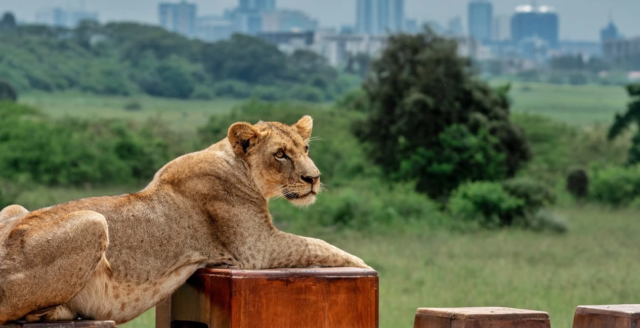 Nairobi