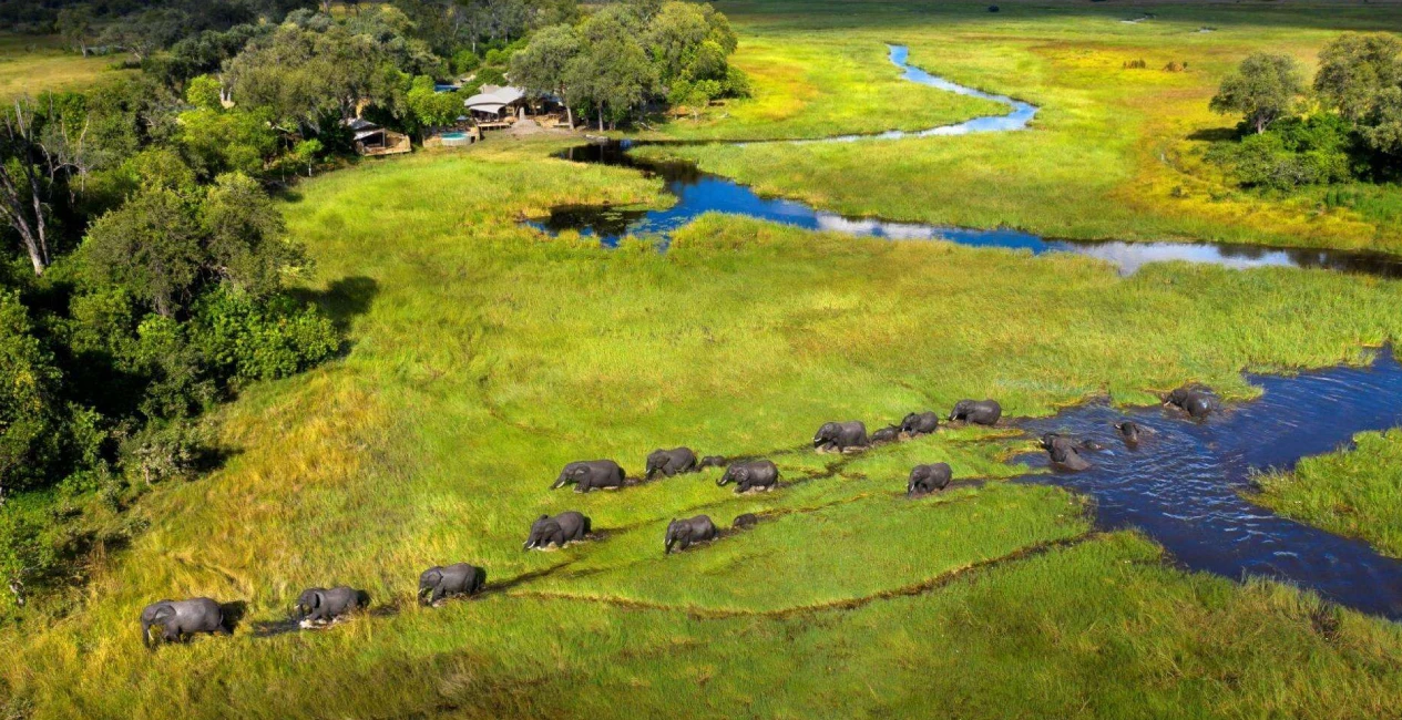 Chobe and Khwai