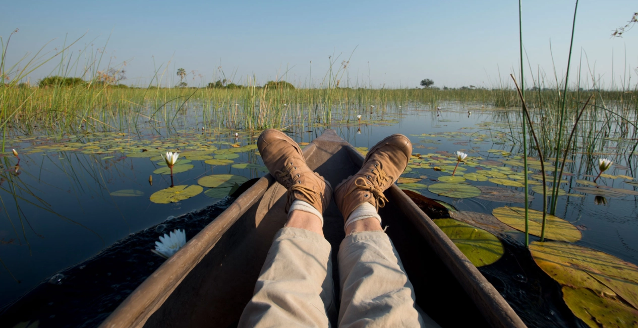 Okavango Delta and Moremi Game Reserve