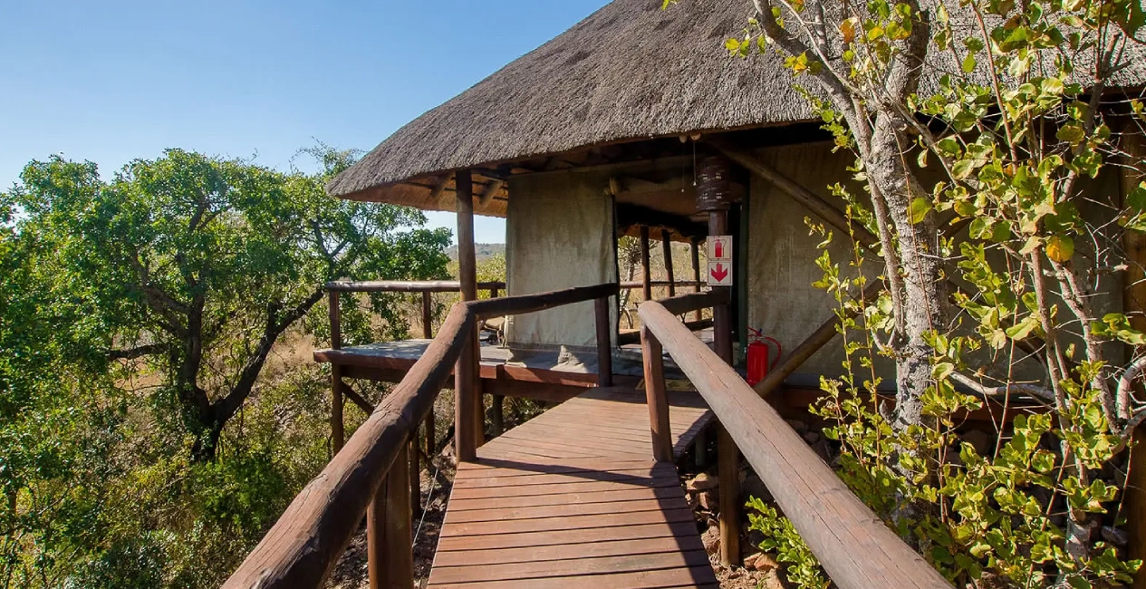 Camp Shonga