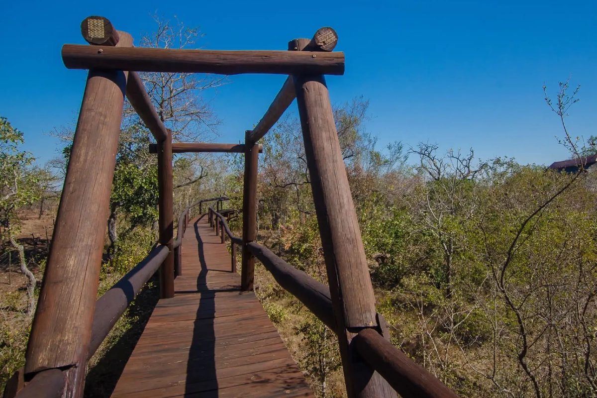 Camp Shonga Walkway